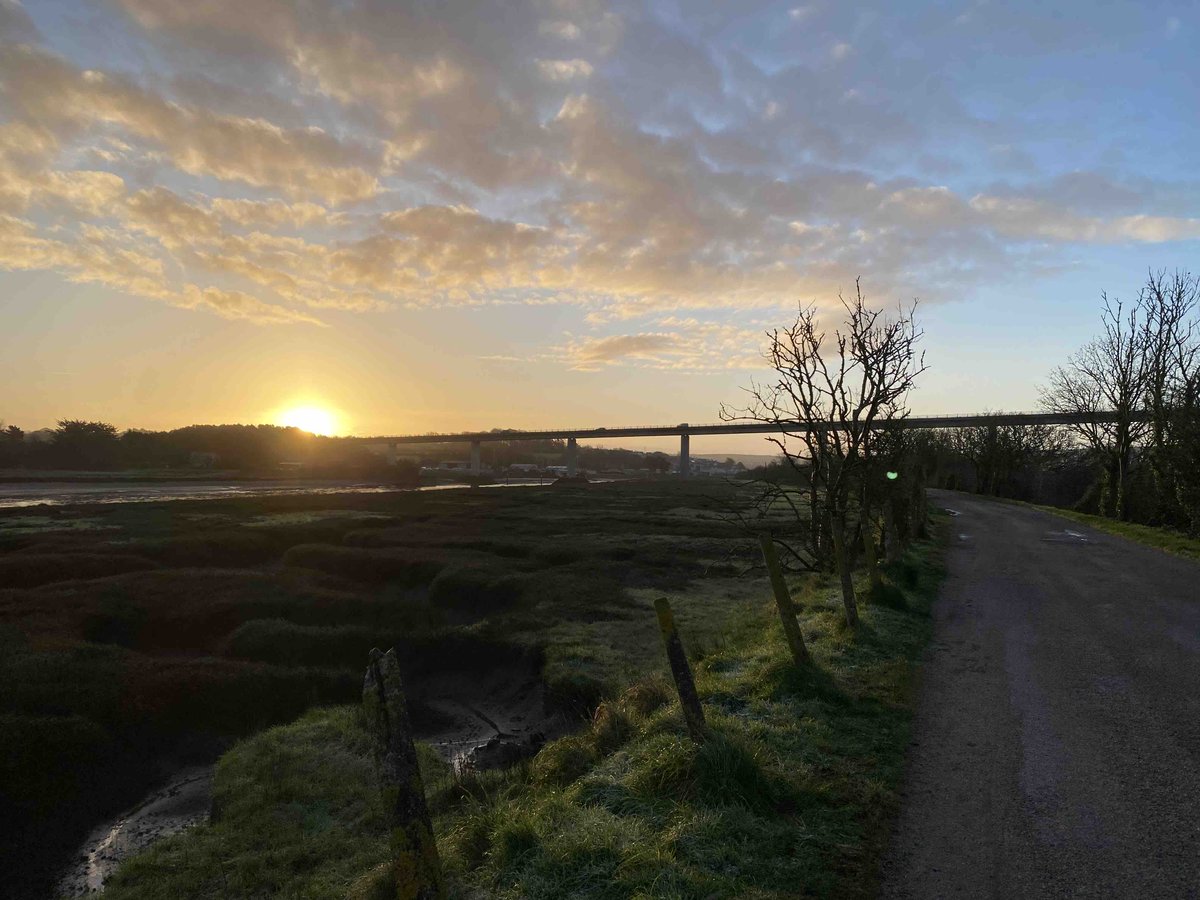 What a glorious morning on the Camel Trail. Lovely to see so many people out first thing enjoying the good weather at last! 🌞 #cameltrail #wadebridge