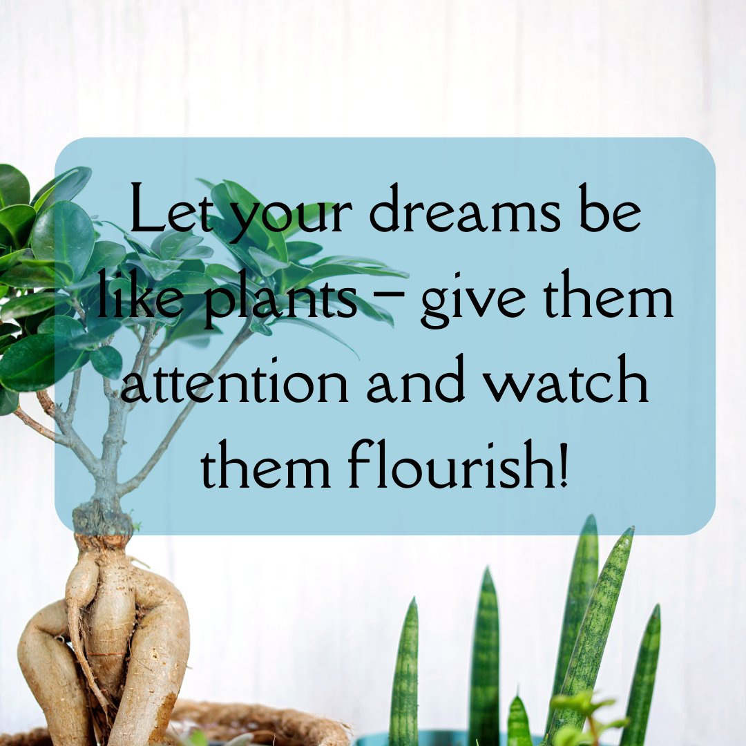 Let your dreams be like plants – give them attention and watch them flourish! 🌿

 #PetalPursuits #MotivationGreen #PlantWisdom