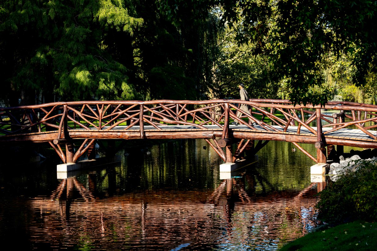 Gemeente Rotterdam tweet media