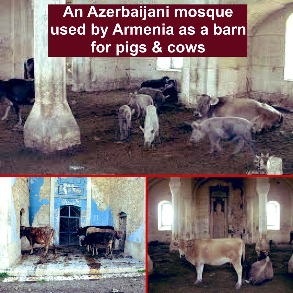 NasimiAghayev's tweet photo. DGAP now says it has canceled its “cultural heritage of Artsakh”  event, which was planned for today in Berlin, and moved it to an online format. From the day one (Feb. 14) this propaganda event was announced, we rightfully protested against it, because it blatantly ignored the suffering of Azerbaijani people and the total destruction of Azerbaijani heritage by Armenia on its soil and in the formerly occupied territories of Azerbaijan. We protested because it promoted continued hatred over reconciliation. We asked how DGAP could ignore the well-documented fact that Armenia destroyed 65 Azerbaijani mosques, turning many into pigsties and cowsheds in the occupied territories? We urged the DGAP to hold a balanced event highlighting  all the horrendous crimes committed against Azerbaijani people and their heritage by Armenia. If DGAP truly cares about cultural heritage and human rights of ALL people, as they claim, they should not reject our proposal and hold such an event in the near future with the participation of Azerbaijani and Armenian scholars. At this critical juncture in the Azerbaijan-Armenia peace process, especially following high-level peace talks held at the initiative of Germany in Munich & Berlin, it is of paramount importance to avoid one-sided and biased approaches, and support peace and reconciliation between Azerbaijani and Armenian people.