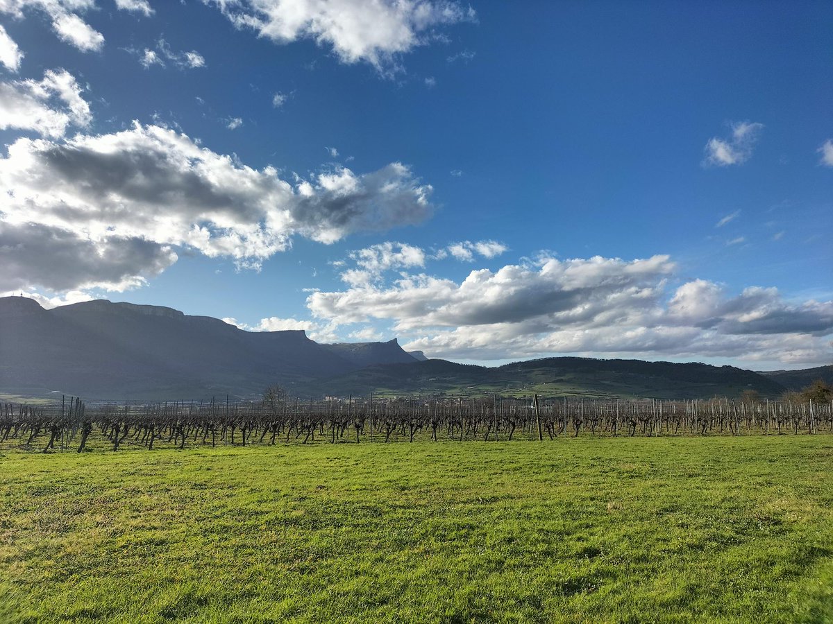 PROYECTO  🍇Seguimos en Bilbao participando en la Asamblea General del proyecto europeo #Soilutions 
🔝Ayer tuvimos la oportunidad de conocer la bodega Artomaña Txakolina. 
⛓️Referente en la industria del vino por cómo aplican la tecnología para reducir el impacto ambiental.