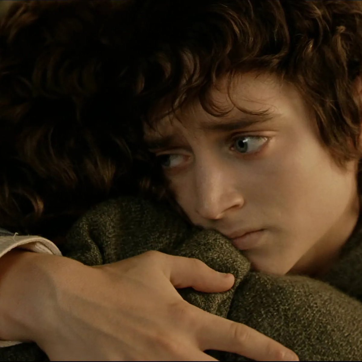 frodo hugging pippin in fotr vs rotk