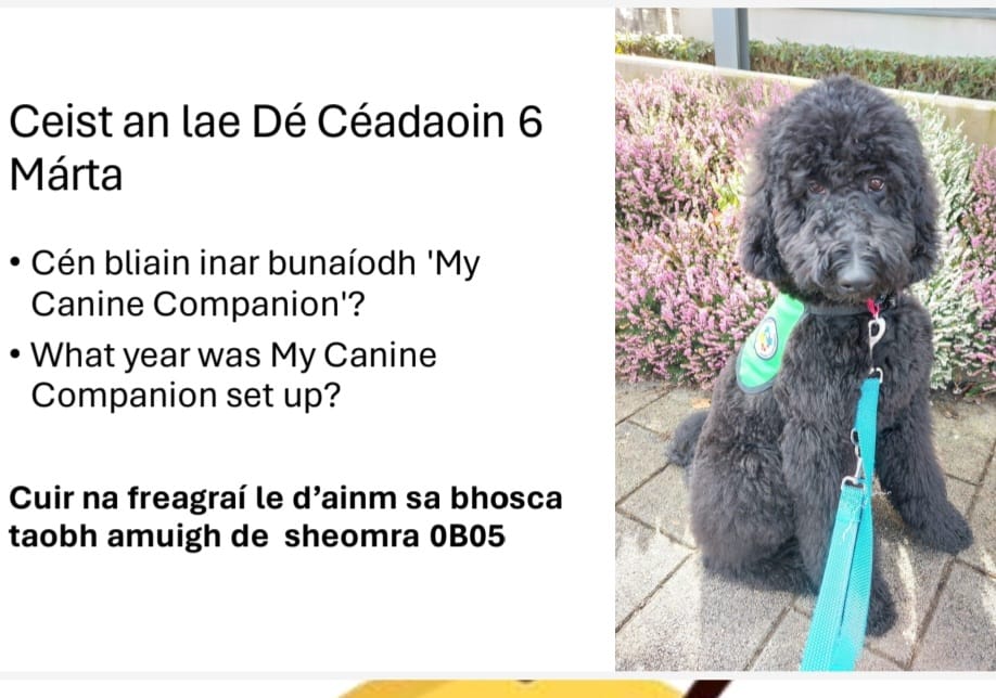 Leanann Seachtain na Gaeilge ar aghaidh le ceist eile bunaithe ar @mycaninecompani agus frása nua inniu. Don't forget your 'obair bhaile'! #seachtainnagaeilge #snag @snaGaeilge @CeistTrust @LaoisToday @LaoisPeople1 @KANDLEi @LaoisNews