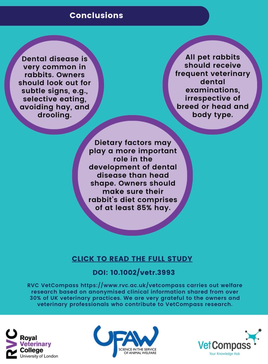 🐇 An infographic summarising the recent VetCompass paper on dental disease in UK companion rabbits can be accessed here:

rvc.ac.uk/Media/Default/…