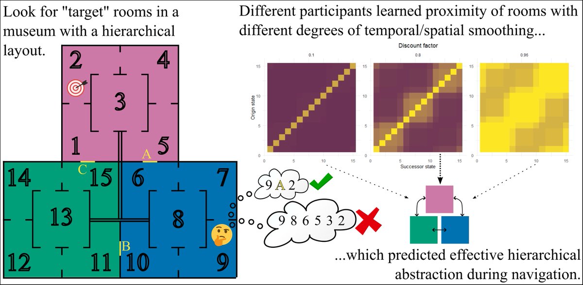 Sven Wientjes (@svenwientjes) on Twitter photo Excited to announce our new work finding that individual differences in predictive learning (e.g. Successor Representations) show a strong relationship with hierarchical abstraction during decision making, now out in <a href="/PLOSCompBiol/">PLOS Comp Biol</a>! Read on👇or visit doi.org/10.1371/journa… Excited to announce our new work finding that individual differences in predictive learning (e.g. Successor Representations) show a strong relationship with hierarchical abstraction during decision making, now out in <a href="/PLOSCompBiol/">PLOS Comp Biol</a>! Read on👇or visit doi.org/10.1371/journa…