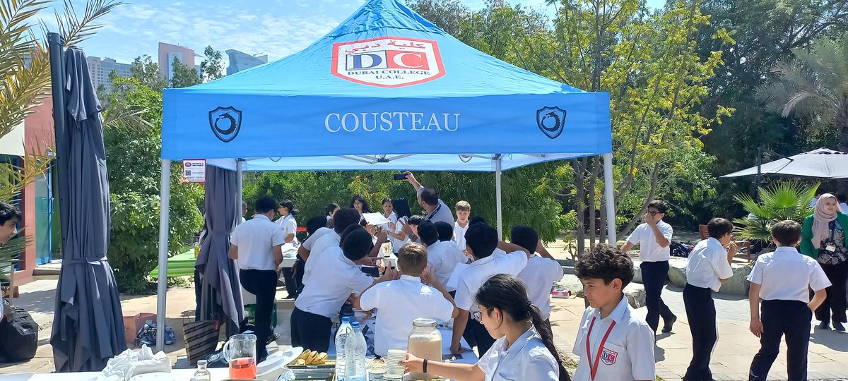 DC Activities tweet media