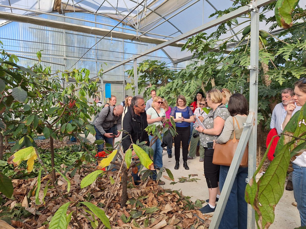 🌿 Hoy recibimos en la Estación Experimental del IHSM La Mayora la visita de la Federación Internacional de Periodistas Agrarios de la mano de @APAE_informa (Asoc. de Periodistas Agroalimentarios Españoles) 📰 El investigador Iñaki Hormaza muestra nuestro centro #IFAJSpain2024