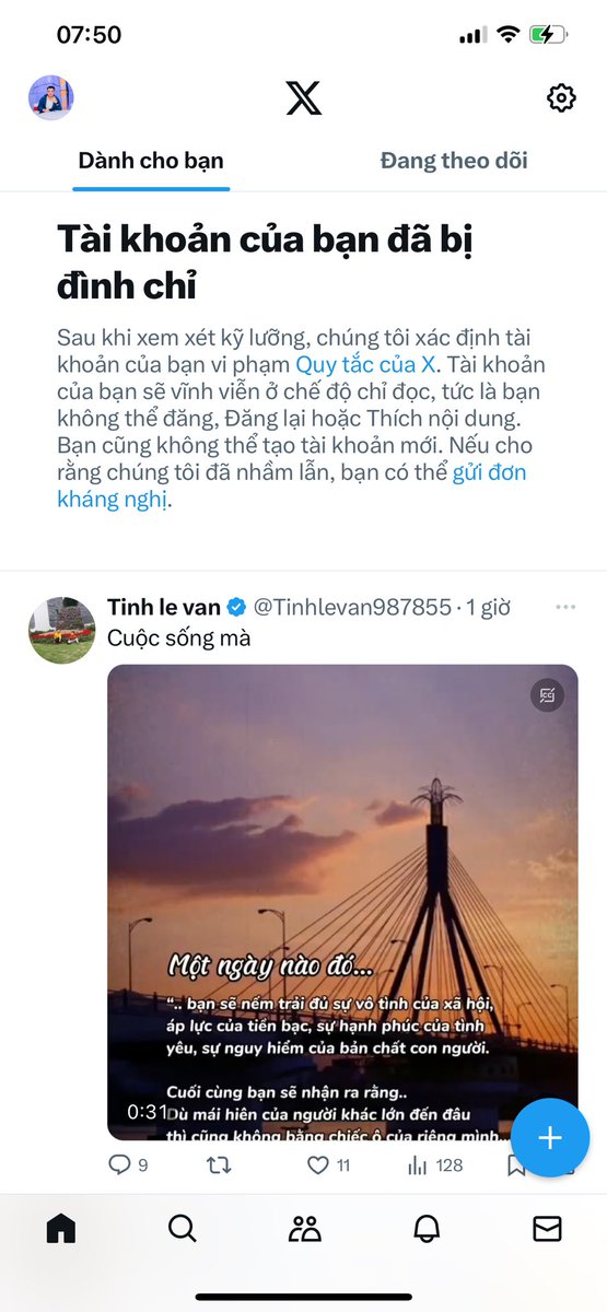 chí hiền 87 tweet media