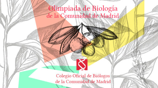 ¡ESTAMOS ENTRE LOS 10 FINALISTAS DE LA OLIMPIADA DE BIOLOGÍA DE MADRID!
En el Colegio Gondomar volvemos a estar de enhorabuena ya que, de los 218 alumnos que participaron en la XXII edición de la Olimpiada de Biología de la Comunidad de Madrid en la categoría de 2º de Bach.