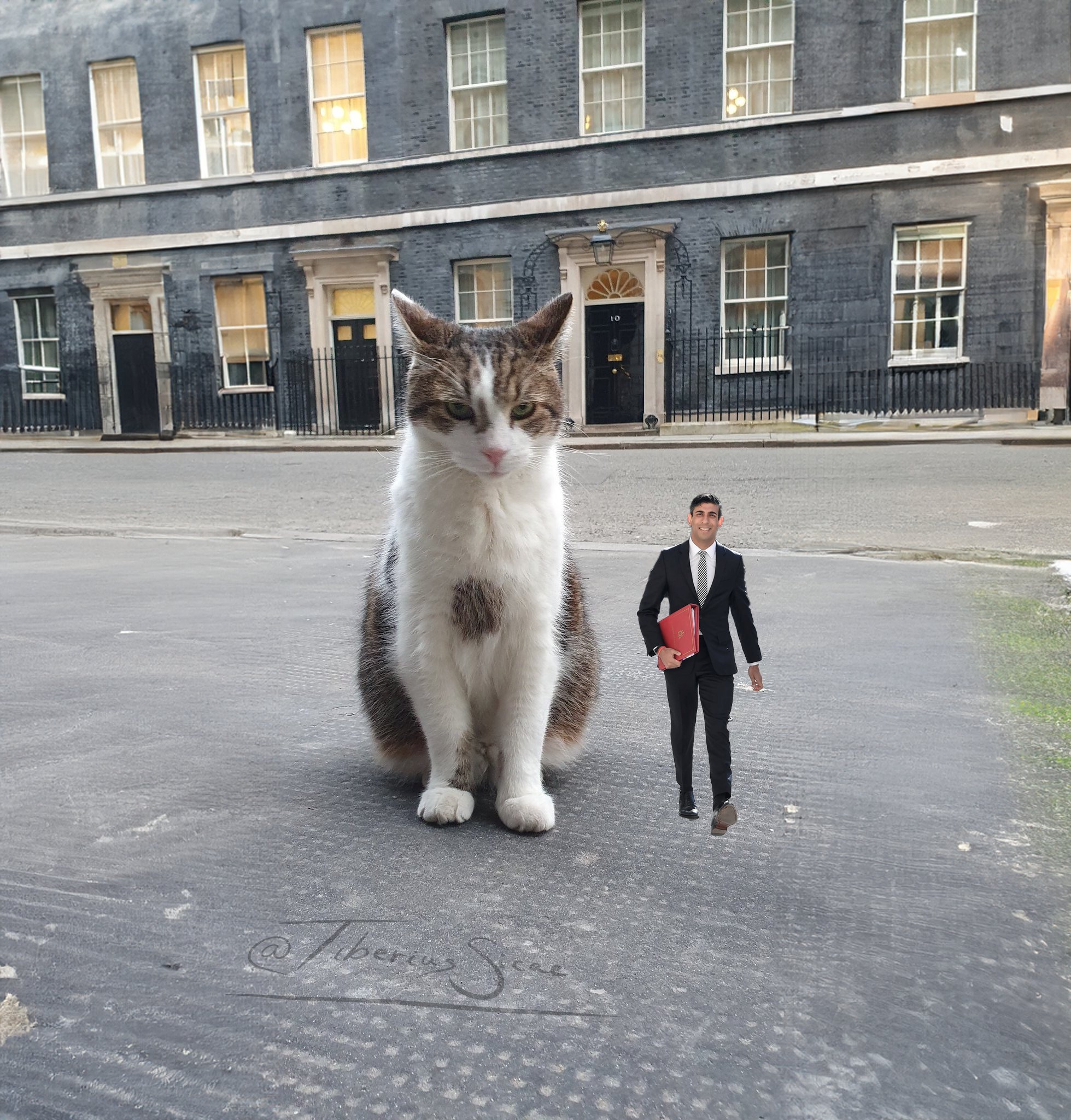 Rishi Sunak strolls past Larry the Cat on his way to hear the budget announcements https://t.co/Ci1y3RWojK