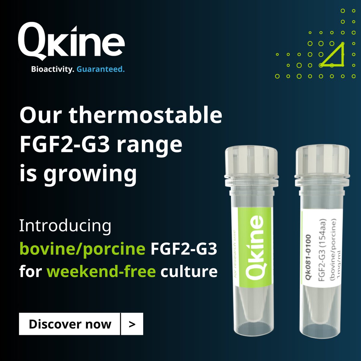Introducing our latest animal-free thermostable FGF2-G3 for bovine/porcine applications. FGF2-G3 ensures stable culture conditions for over 7 days, supporting high-quality and cost-effective cell culture. Learn more - zurl.co/FavE #AnimalFree #ThermostableFGF2