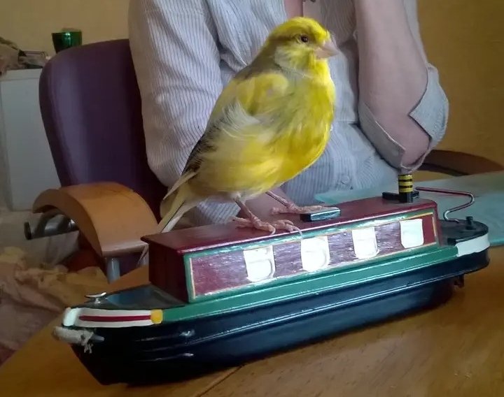 Loz_Le93's tweet photo. Keith on a #barge
#captainKeith https://t.co/QT0DsJgH76