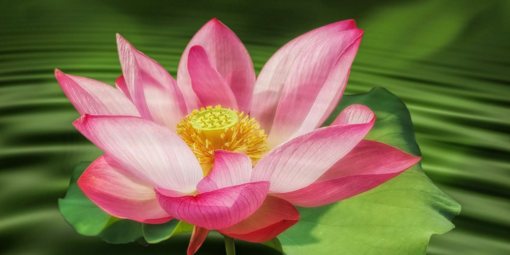 Empty out and be full;
wear out and be renewed.

― From Tao Te Ching, Lao Tzu