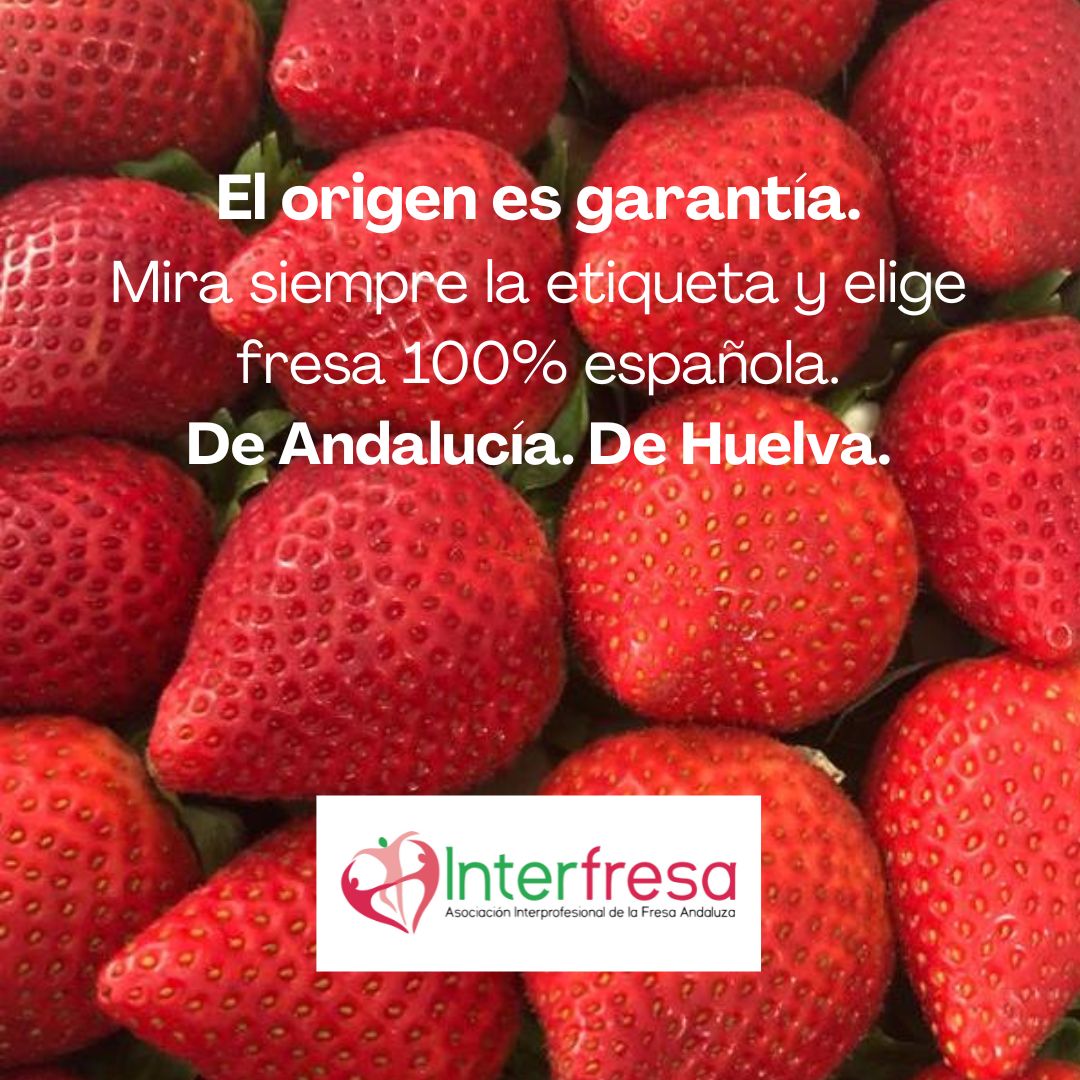 La #fresa española, producida mayoritariamente en la provincia de Huelva, está sometida a los más estrictos requisitos sanitarios, de #calidad y #sostenibilidad. Comprueba siempre la etiqueta para más seguridad 👌
#frutosrojoshuelva