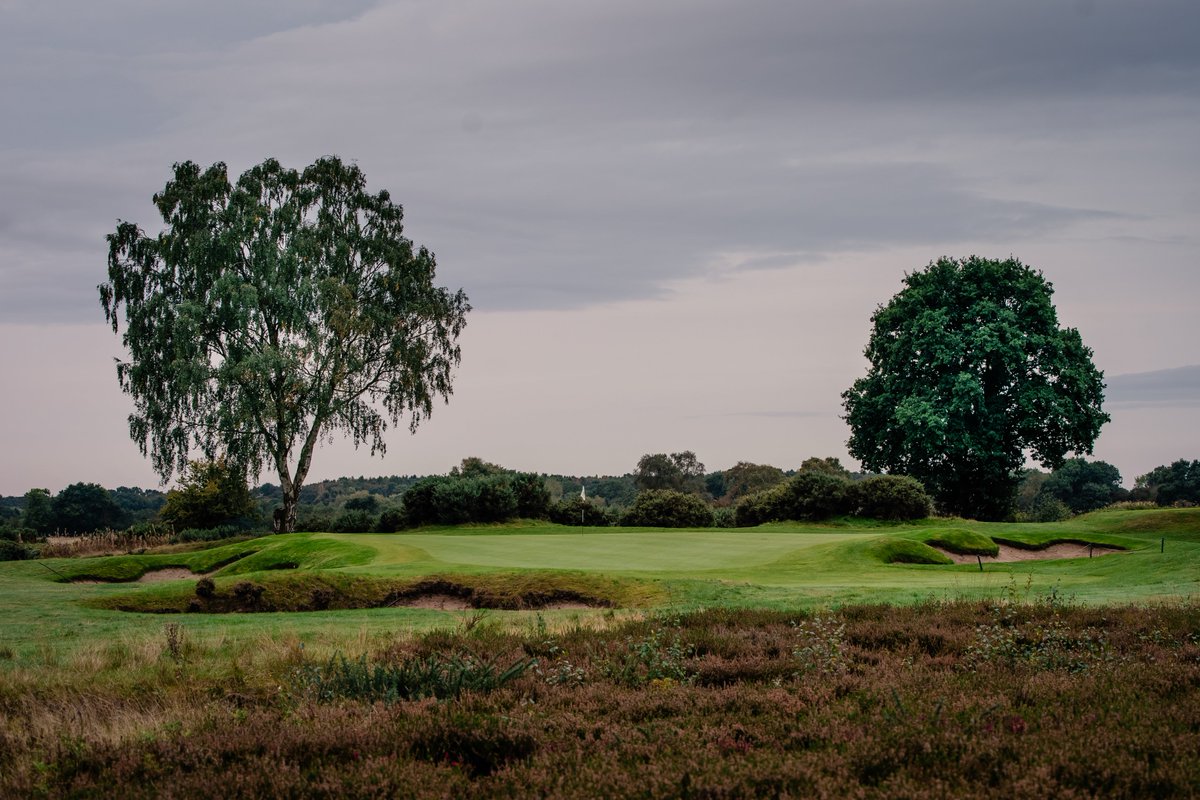 Happy Wednesday #golflife #wintergolf