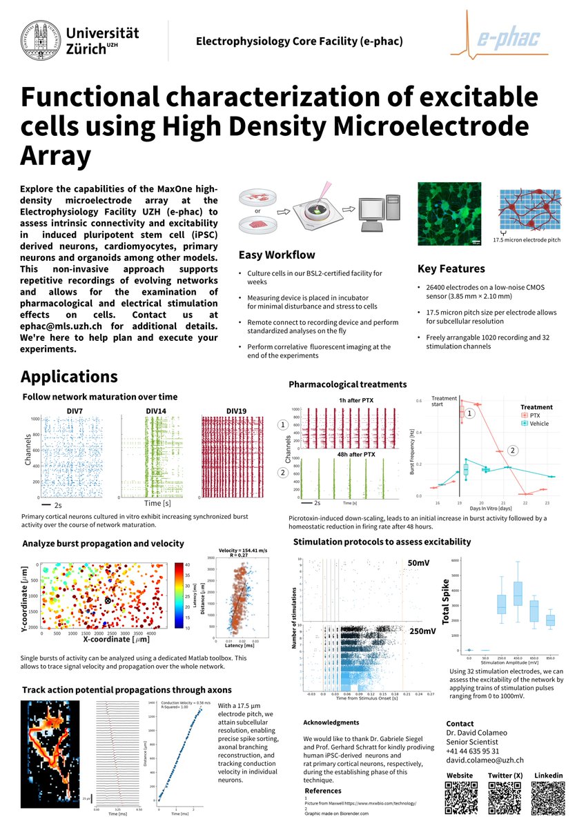 Electrophysiology Core Facility (E-Phac) at UZH tweet media