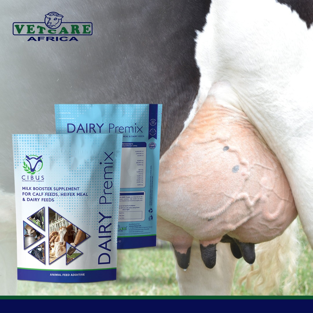 Cibus Dairy Premix is specially formulated to meet the unique nutritional needs of dairy cows, our premix is the key to maximizing milk production and quality 
#DairyFarming #Premix #HealthyCows #OptimalPerformance #vetcareafrica #cibusanimalnutrition #animalhealth #happyfarmer