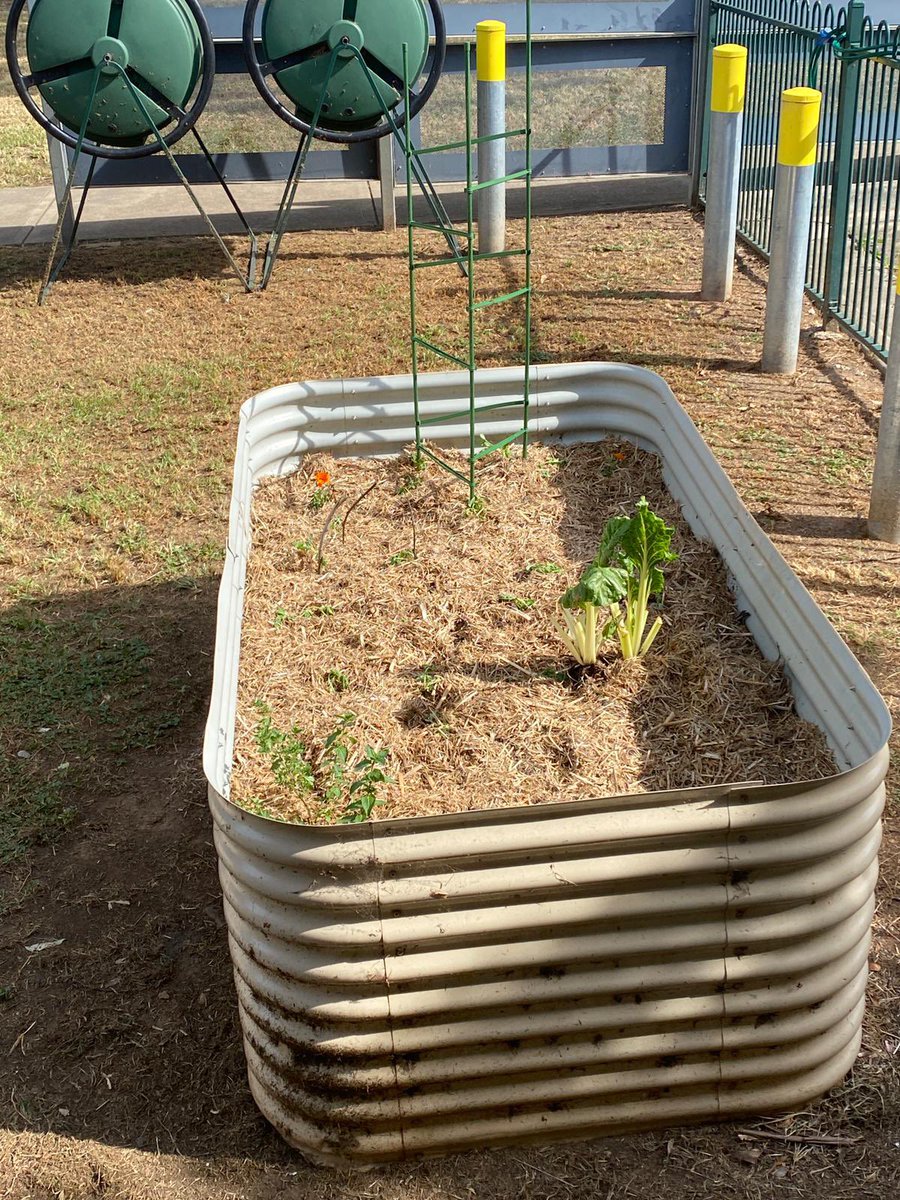 Thank you Bunnings Casula for your amazing donation in support of our Environmental Education. We have put it to great use already! 🌺 🪴 🌳
<a href="/dace_elletson/">Dace Elletson</a>