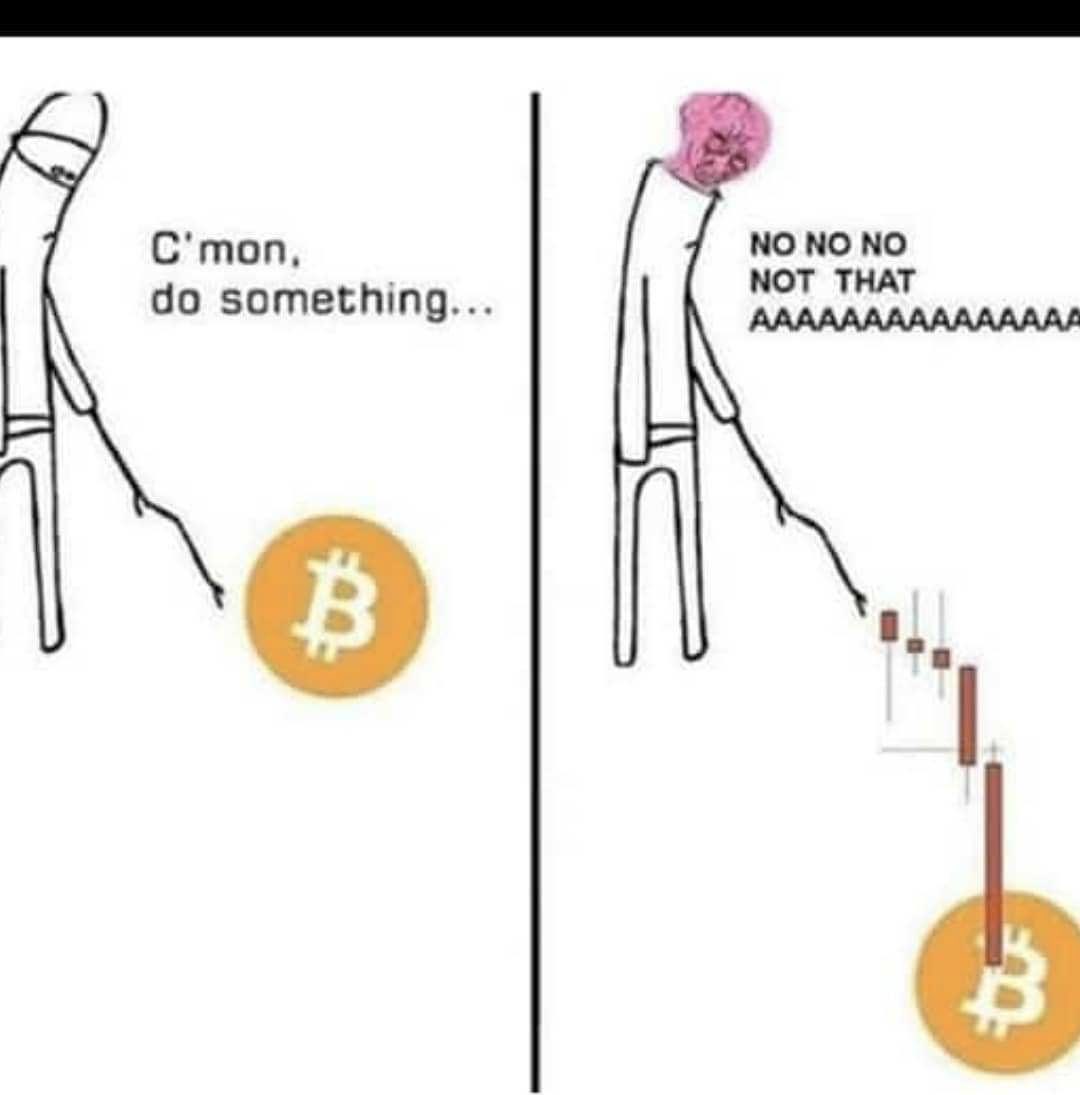 How people be like when they see #btc price… smh 😭🤣🤣

#crypto #reselling #JEONGHANxSaintLaurent #FELIXxLVFW24 #META