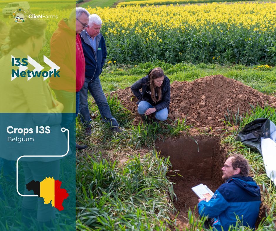 👀 The #Belgium I3S is based on a group of about 10 organic and/or low till farms, all pioneers in agroecological transition, but also a long term experiment (LTE) located at #CRAW called SYCI (“SYstème de Cultures Innovants”). See more 👉 buff.ly/3t717oN