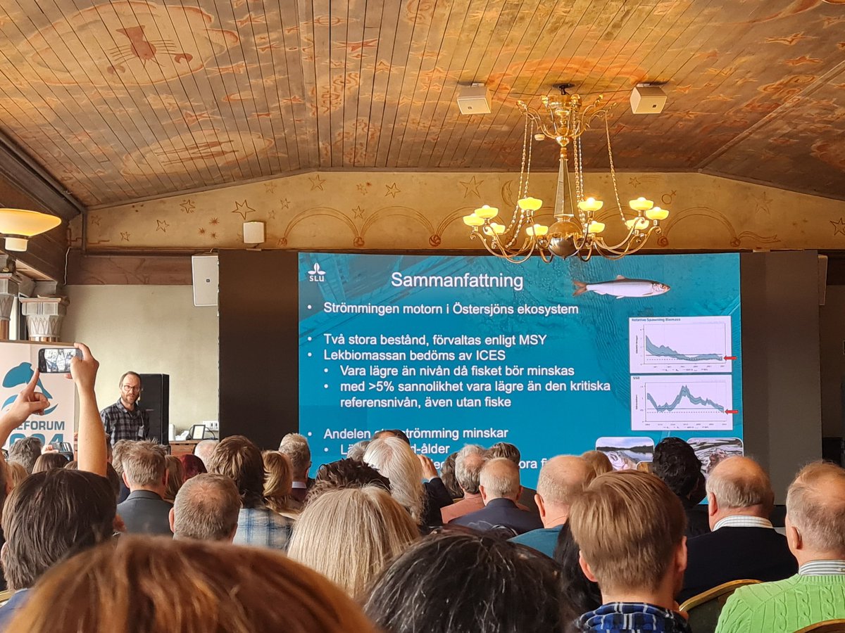 Läget för strömmingen - motorn i Östersjöns ekosystem? "Det har blivit ännu sämre" säger David Gilljam, forskare @_SLU #fiskeforum <a href="/havochvatten/">HaV</a> <a href="/Jordbruksverket/">Jordbruksverket</a>