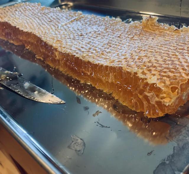 homevsfastfood's tweet image. [I ate]Honey from my harvest
homecookingvsfastfood.com
#homecooking #food #recipes #foodie #foodlover #cooking #homecookingvsfastfood