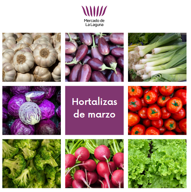 🍆Conoce las verduras de temporada para este mes y acércate al Mercado a por ellas. 

#mercadodelalaguna #consumelocal #productosdetemporada