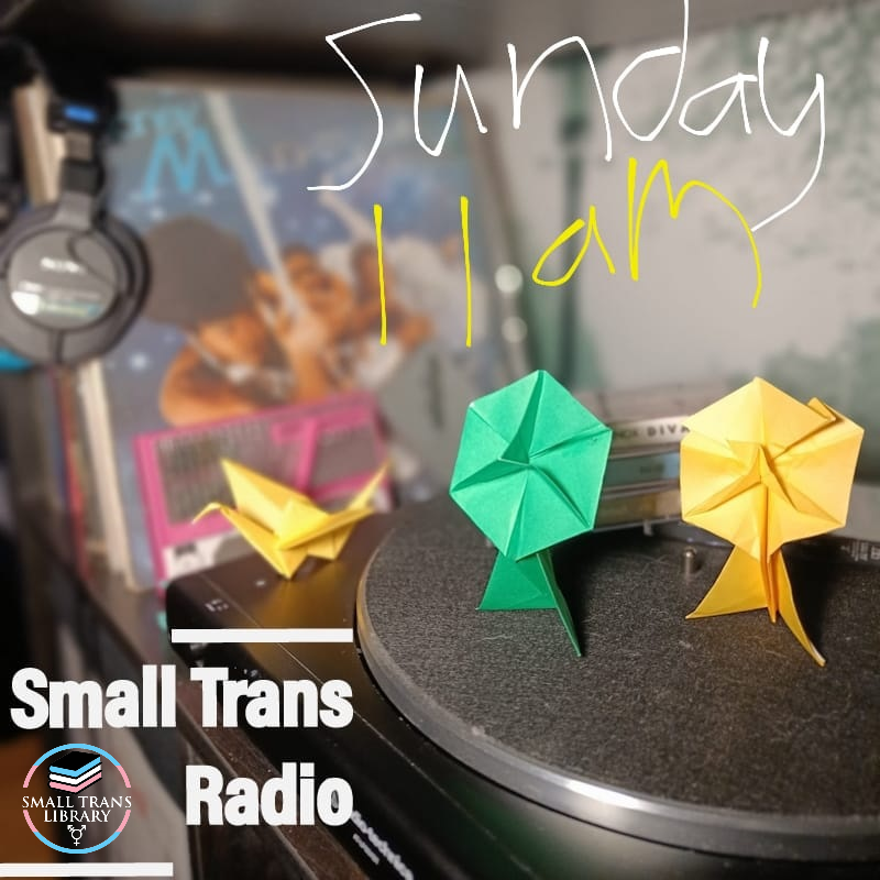 Tune into @DublinDigiRadio 11am this Sunday March 10th for Small Trans Radio! Bringing chill tunes for lazy transes, Librarians Méabh and Greta are gonna getcha outta bed! For our first show we'll be talking how we hope the show to evolve and how you could get involved!