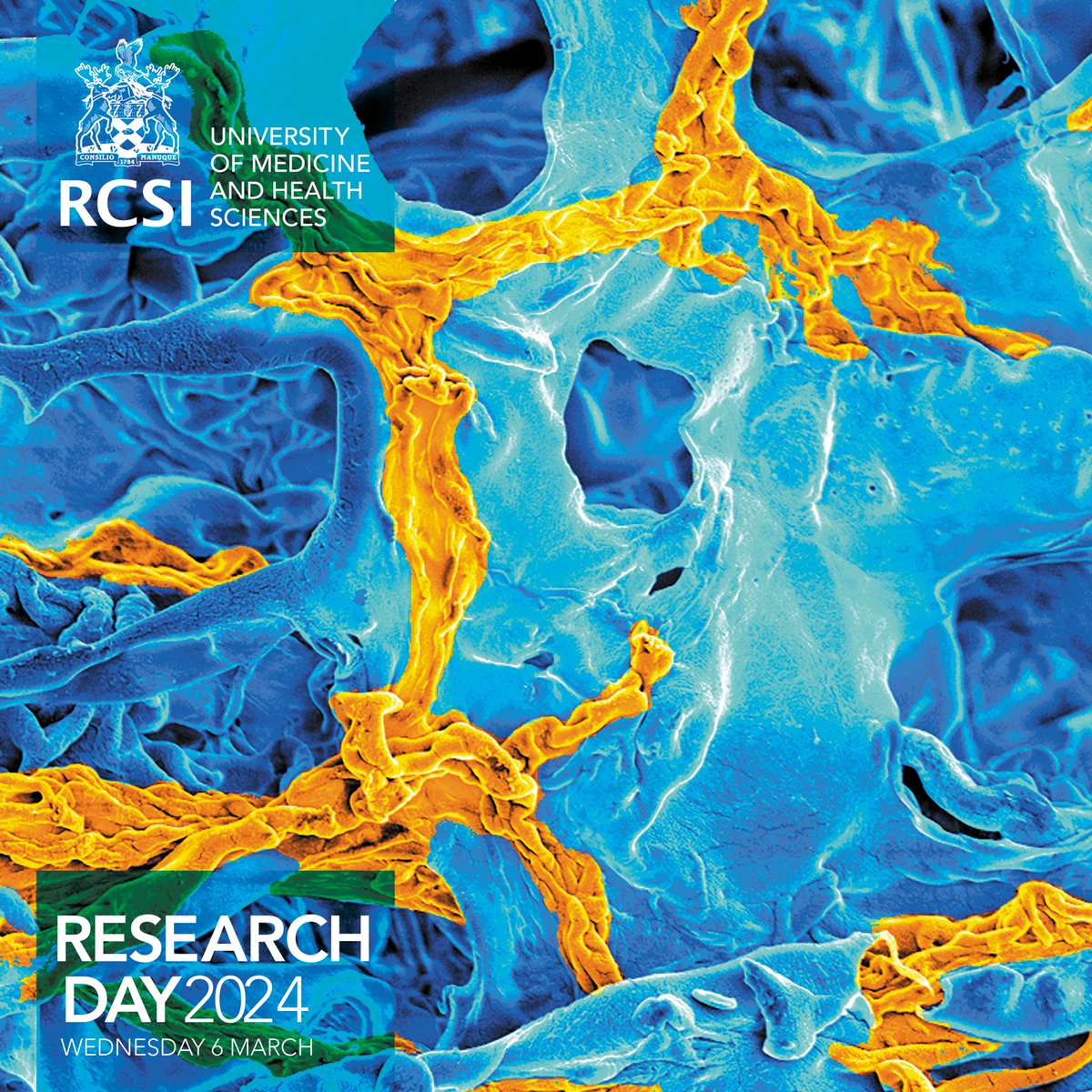 Today at #RCSIResearchDay, our researchers will showcase their work to the wider RCSI community.

An award ceremony this afternoon will recognise outstanding achievements in <a href="/RCSI_Research/">RCSI Research and Innovation</a> and innovation to drive improvements in health.

🔗 rcsi.com/dublin/news-an…

#RCSIdiscover