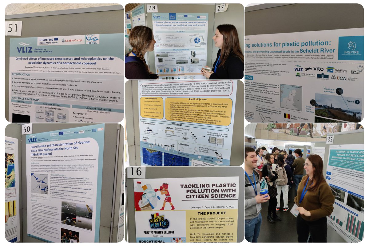 Team #PlasticPollution is thriving today, at #VMSD24! We have really interesting posters showcasing our work! Come and talk to our young researchers and find out more about the scientific questions they aim to answer! @ThereseNitschke @Leone_G93 @VLIZnews @INSPIRE_EUROPE…