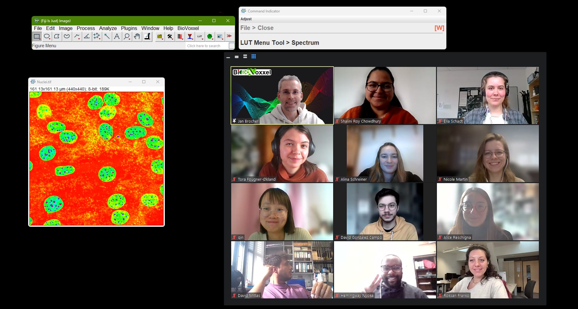 lsm коллаж  online workshop at LSM! Under Jan  Brocher's guidance from @biovoxxel , students learned fundamental insights  into