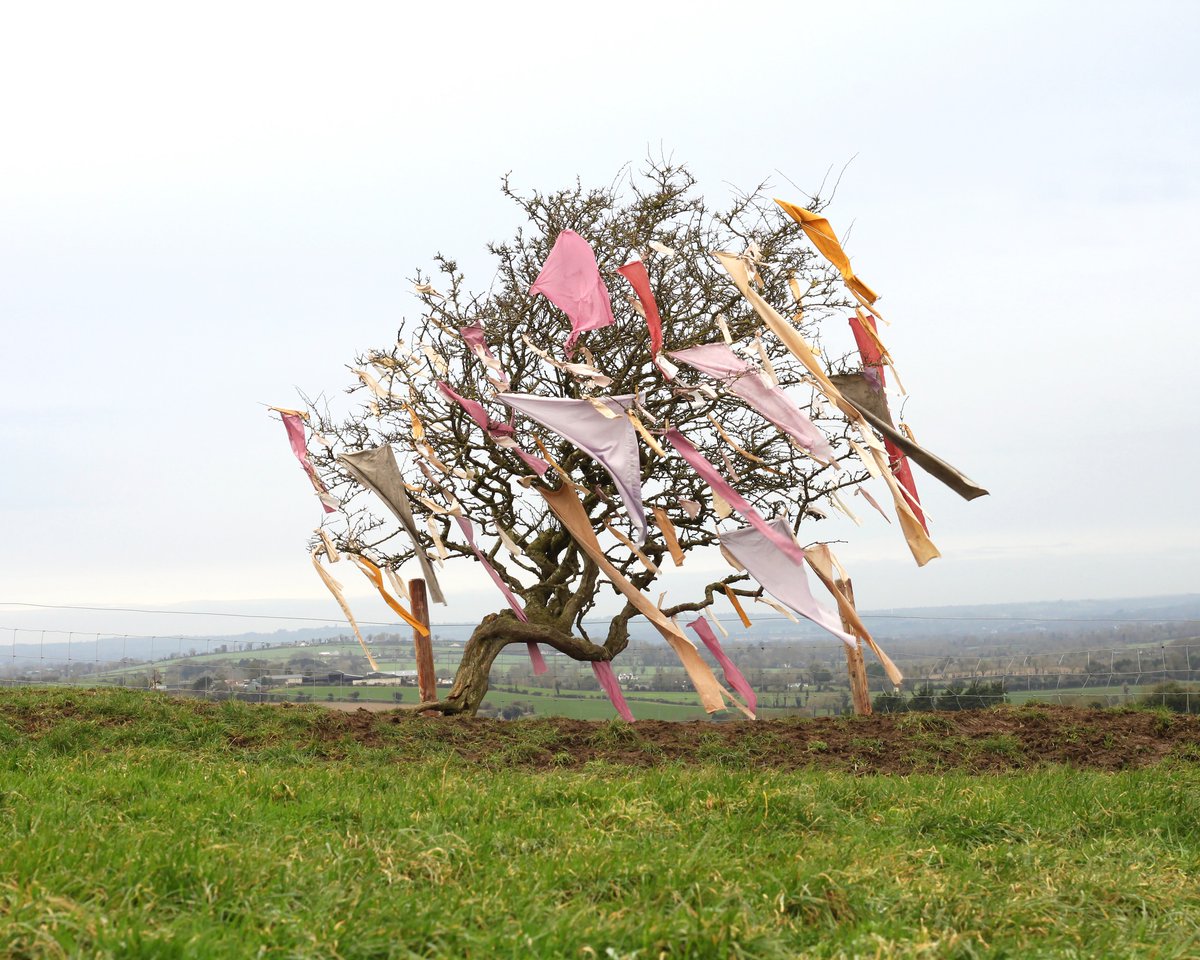 #FruityBodies - exhibition of work by Joanna Hopkins opens at the Municipal Gallery,@dlrLexIcon on 10 March 2024. The work explores folklore with landscape and the human form. Full info: dlrcoco.ie/arts/municipal… @dlrcc