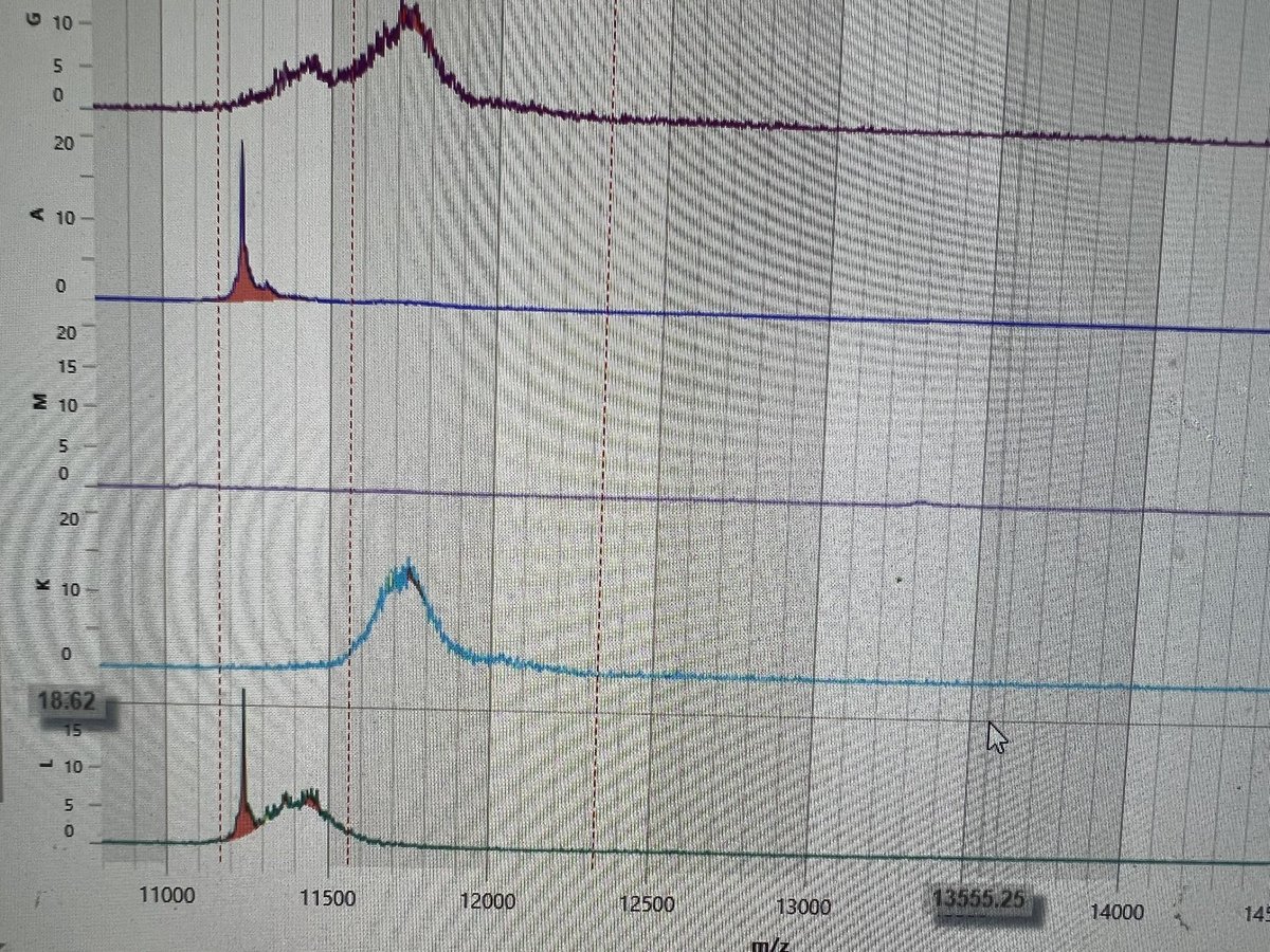 The new MALDI based “SPEP” (M-Quant) has been out for a week now @MayoClinic @mayocliniclabs Using the existing test it can quantify M proteins in one test. It is faster, cheaper, and has a larger dynamic range. Below is a IgA L with an M spike of 0.05.@VincentRK 1/