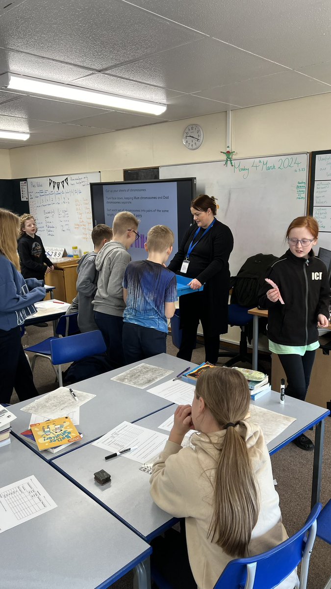 Kiveton Park Meadows Junior School tweet media