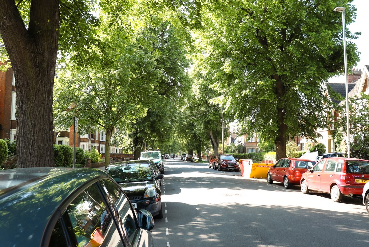 When you look at this street, it's not hard to understand why trees 🌳are so good for our mental health🧘‍♀️ We all deserve to have nature on our doorsteps 🏡🌻 Let's fill our streets with trees! treesforstreets.org #mentalhealth #Wellbeing
