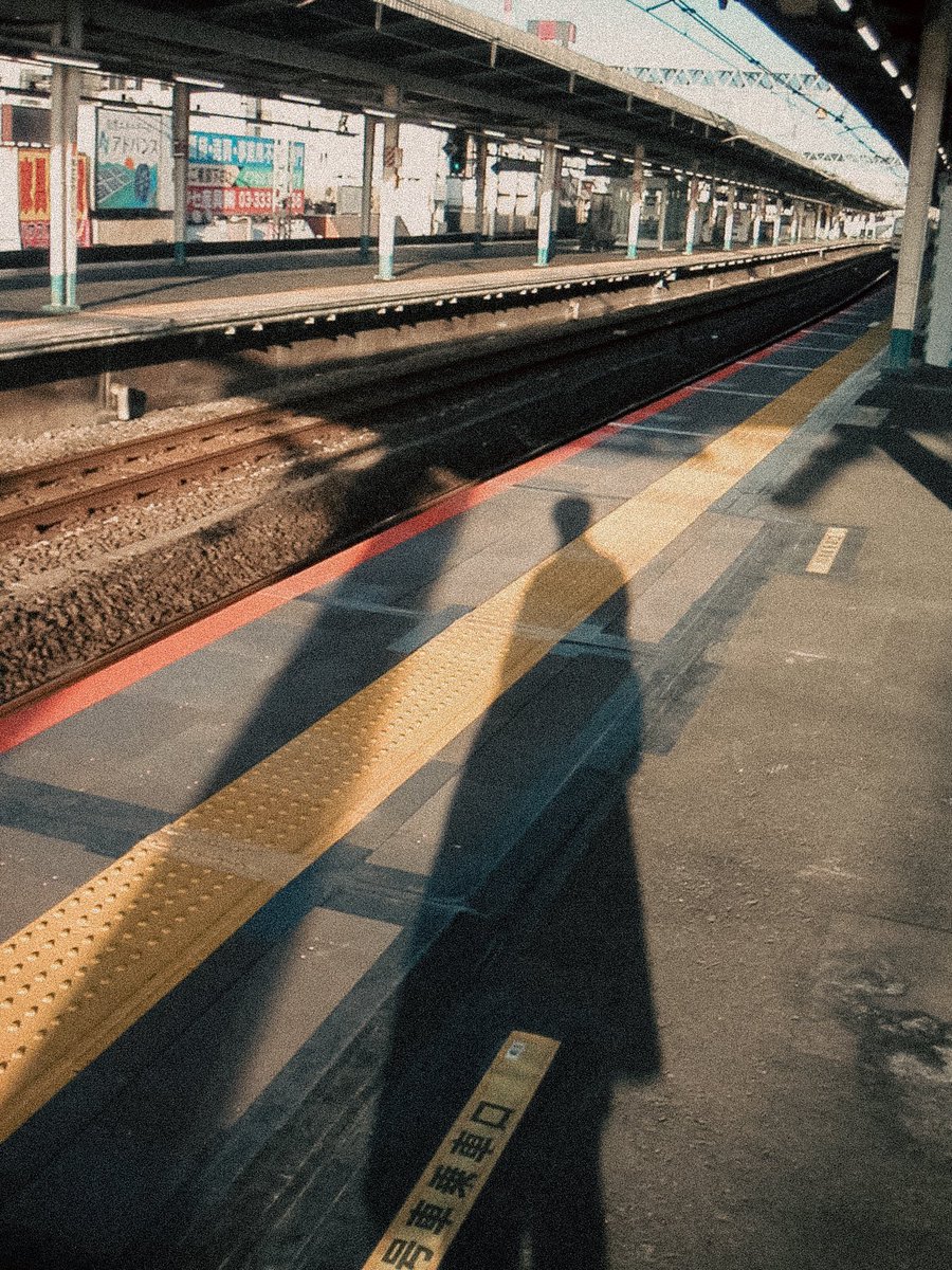 きのうの収穫

#コンデジ #dimagex #MINOLTA
#photography