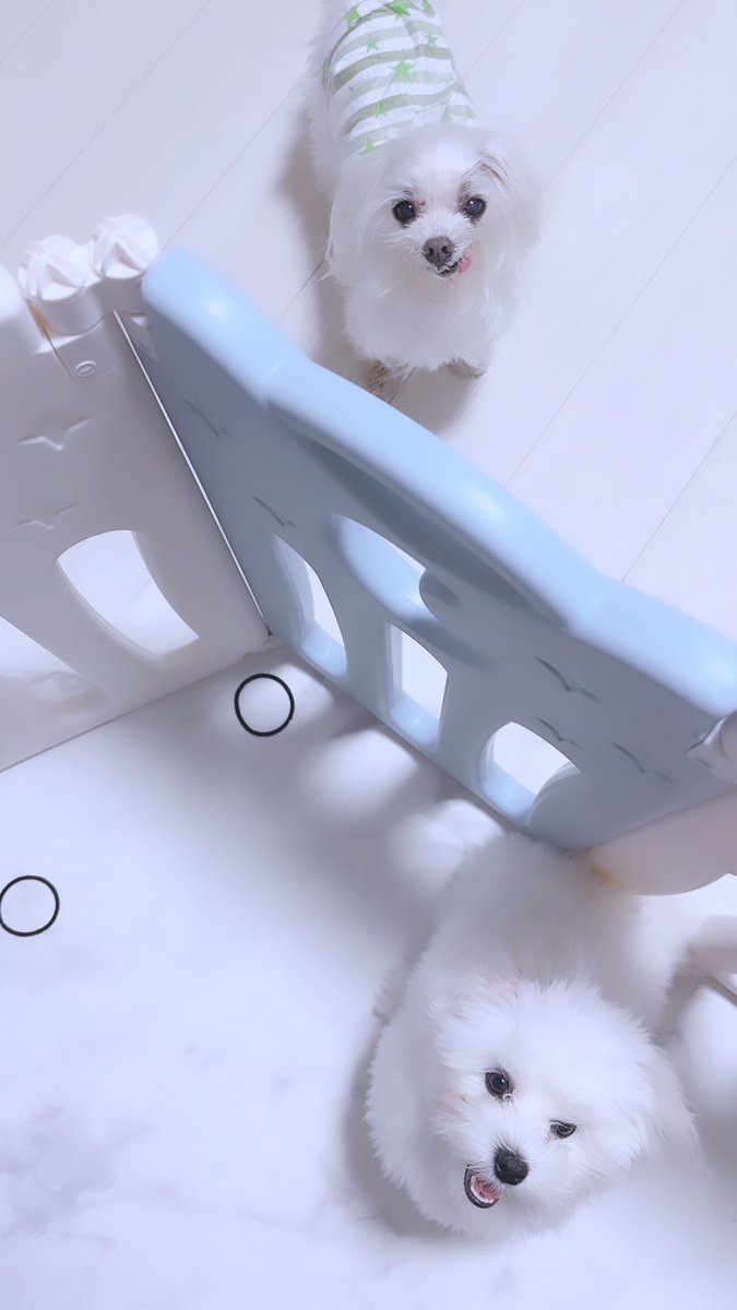 可愛い可愛い🥰