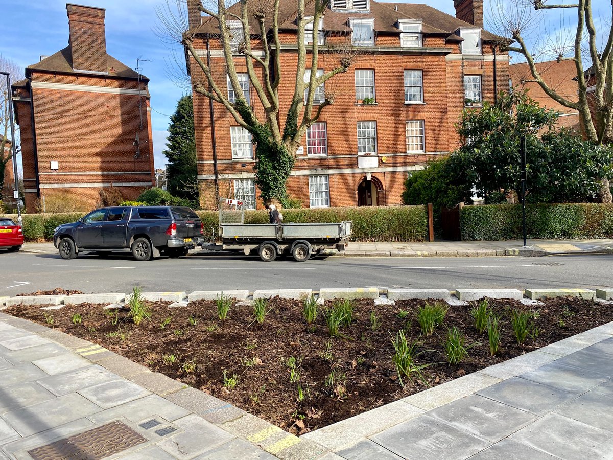 Meristem Design tweet media