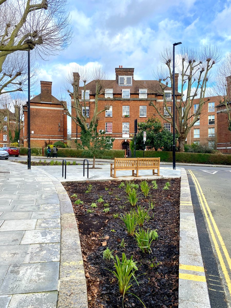 Meristem Design tweet media