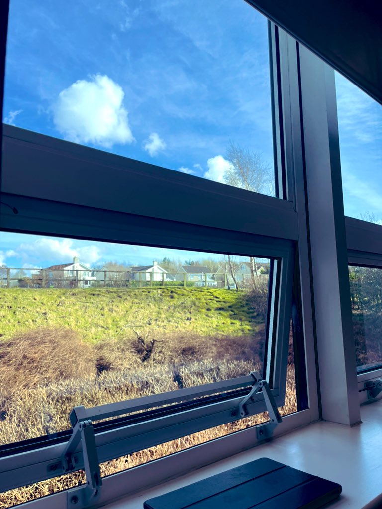 MissMoffat_BEdu's tweet photo. Only one sunbathing bunny in this glorious Monday classroom view!
Just for you @MrsWilsonBusEd ๐ฐ๐
#classroomview
@DunblaneHS https://t.co/oQzsF8hE7o