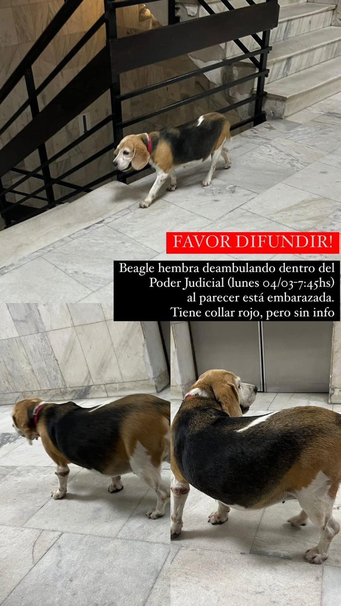 Mo! (@monicduarte) on Twitter photo 