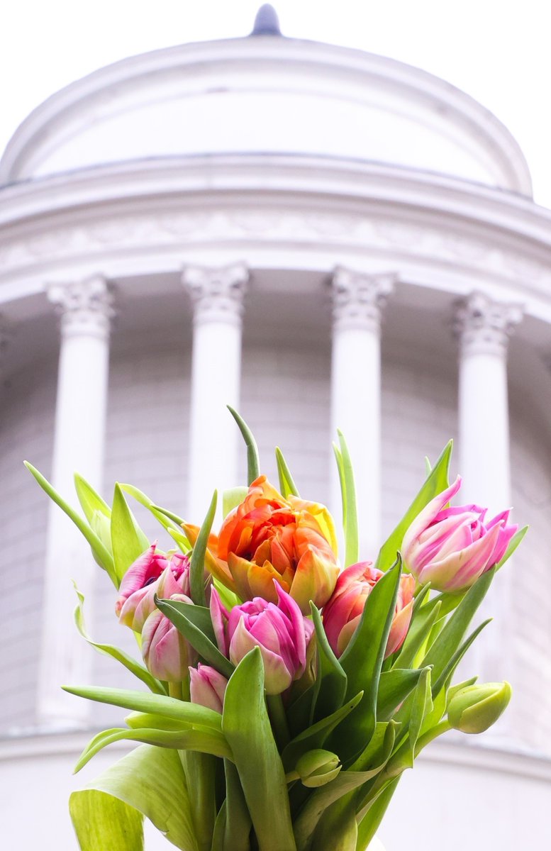 💐Kochane Kobiety!💐
❤️Dziś jest Wasz dzień!❤️
Z tej okazji przynosimy Wam kwiaty i składamy najlepsze życzenia: niech się spełnią wszystkie Wasze marzenia!
🌸🌸🌸🌸🌸🌸
#8marca #DzieńKobiet