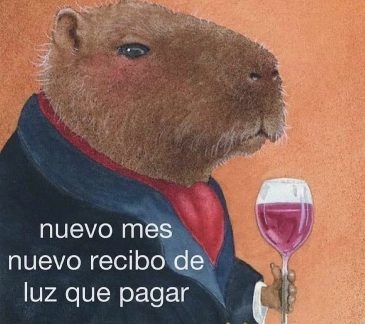 nacional_memes's tweet photo. https://t.co/8thFhCY8uB