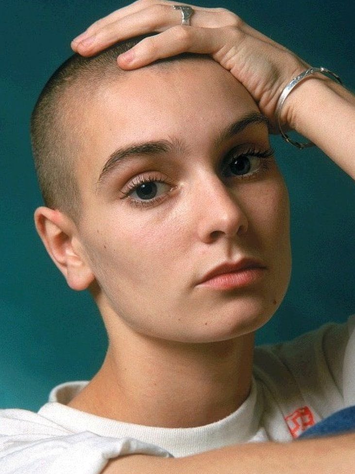 Mike Sington tweet media