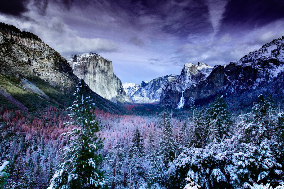 NicoleJEddyBlog's tweet image. By faith we understand that the universe was formed at God’s command, so that what is seen was not made out of what was visible. (Hebrews 11:3, NIV)