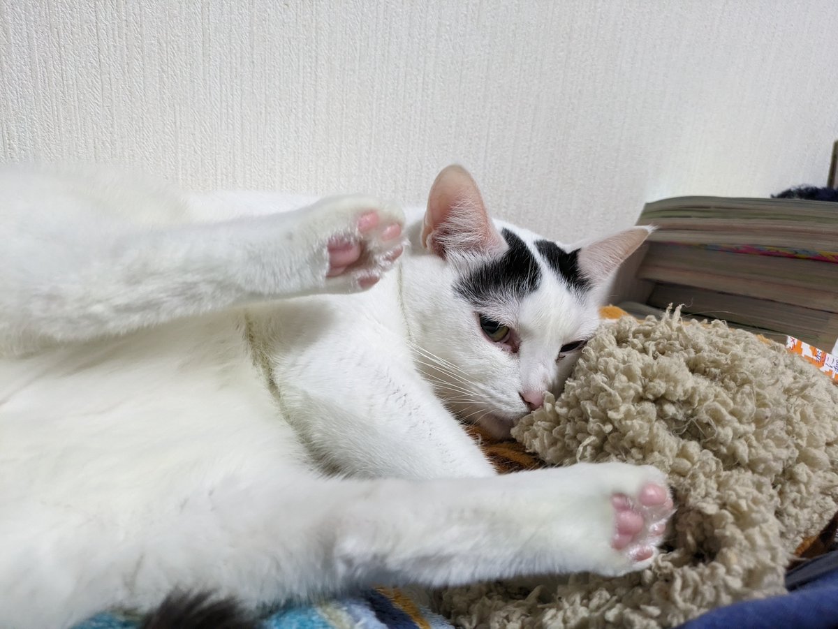 This JCN alum says, "Get your own blanket. This one's mine!"