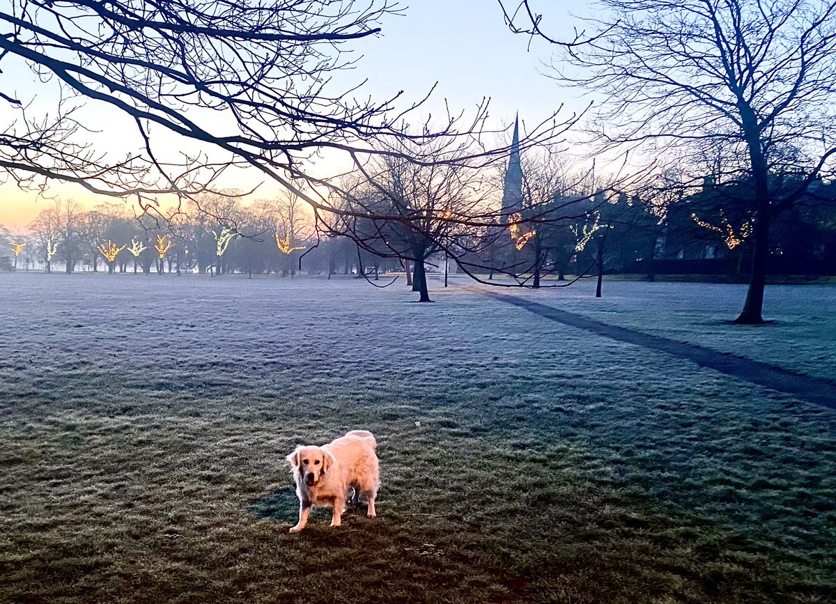 Beautiful morning on the Stray this morning - clear and crisp!