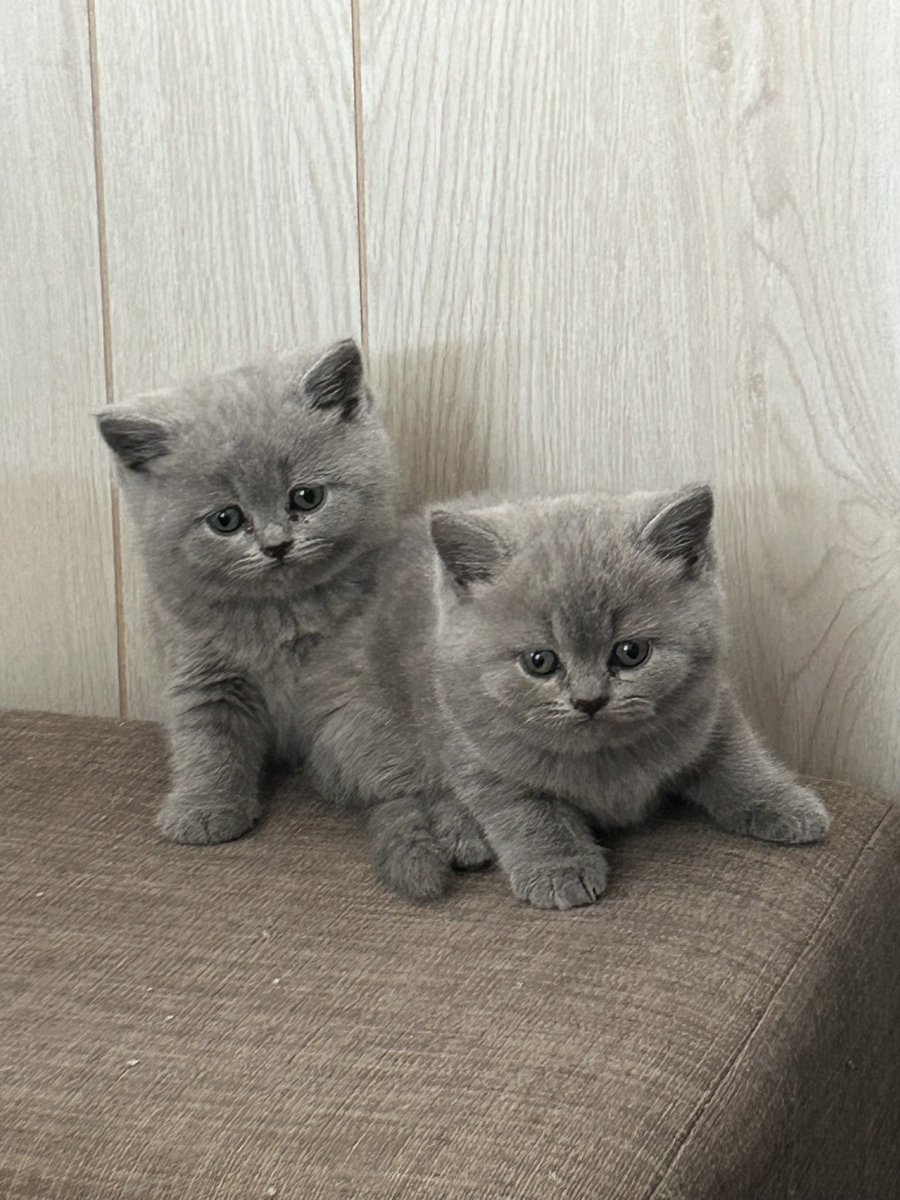 I can’t wait to get my baby home in a week 😭😭😭