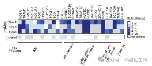 🧐Chemical Proteomics Identifies SLC25A20 as a Functional Target of the Ingenol Class of Actinic Keratosis Drugs.🧪

 Read on: pubs.acs.org/doi/10.1021/ac…