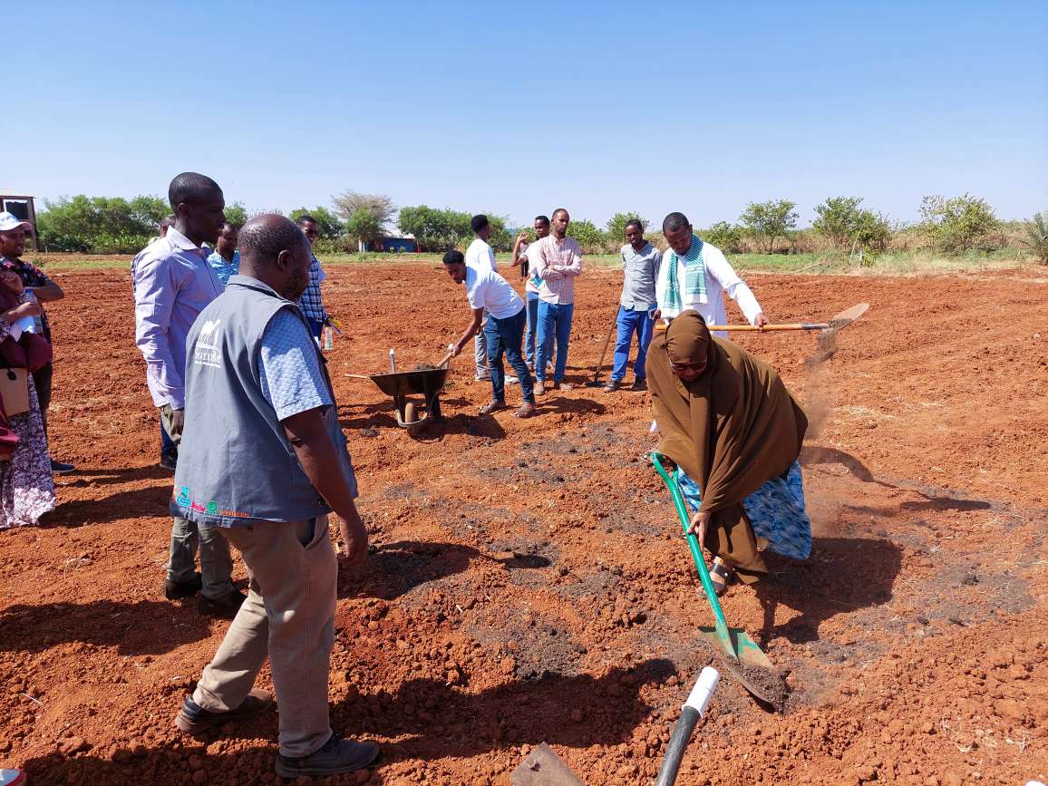 Thanks to @EU_in_Somalia funding, staff members from the consortium & Min of Agri in Hirshabelle Jubaland & South West State were trained in Climate Smart & Good Agri Practices equipping them with skills to support farmers boost their crop yield & income under EU Riverine Project